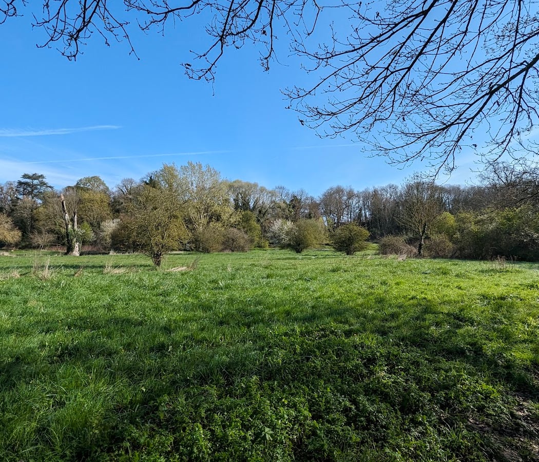 Park of Montjean 2